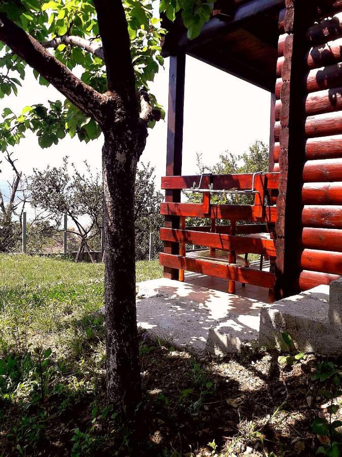 Timber House Villa Teodo Esterno foto